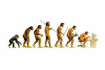 gambar evolusi manusia